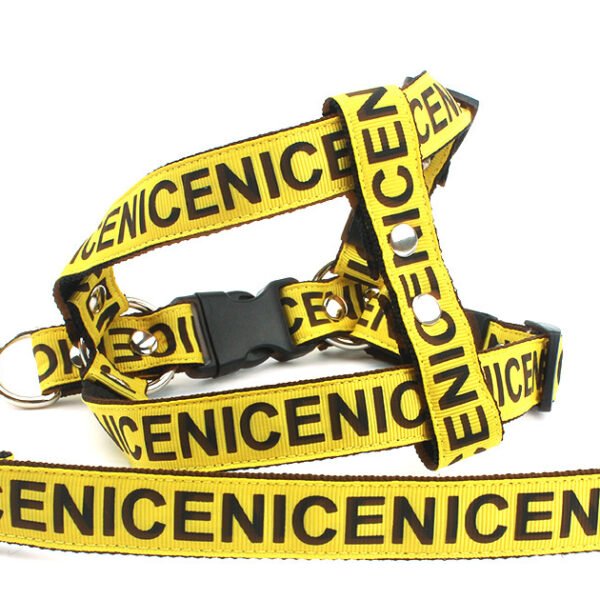 Pet Leash Dog Collar Dog Leash