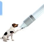 Pet Nail Sharpener Nail Clippers - Image 4