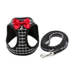 Cat Chain Traction Rope Set, Chest Harness, Cat Harness, Cat Collar, Dog Leash - Image 5