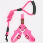 Pet Supplies Simple Dog Leash - Image 2