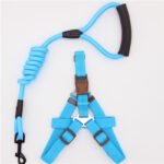 Pet Supplies Simple Dog Leash - Image 6