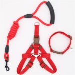 Pet Supplies Simple Dog Leash - Image 8