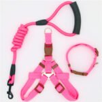 Pet Supplies Simple Dog Leash - Image 9