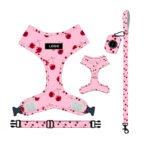 Pet Supplies Dog Leash Set Pet Leash - Image 2