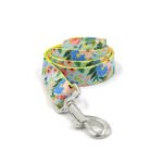 New Dog Leash, Big Dog Leash, Dog Leash, Pet Collar, Medium-sized Dog, Dog Leash, Dog Chain, Collar Set - Image 9