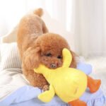 Dog Plush Toy Pet Vocal Toy Huayuan Pet - Image 5