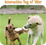 Stuffed Squeaky Dog Toys Plush Toys Assortment Value Bundle Puppy Pet Squeak Toy For Medium Large Dogs - Image 6