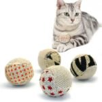 Interactive Cat Toy Chewing Ball - Image 4