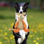 Dog Plush Toys Pet Squeaky Animal CuteShape Toy Dog Bite-Resistant Clean Teeth Chew Toy Pet Supplies Interactive Toys - Image 4