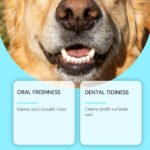 Pet Dental Finger Cots With Wipes - Image 2