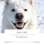 Pet Dental Finger Cots With Wipes - Image 3